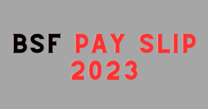 BSF Pay Slip 2023 BSF Salary Details Monthly Online Download
