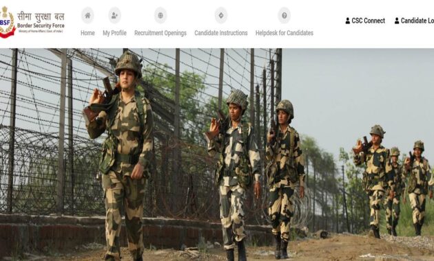 BSF